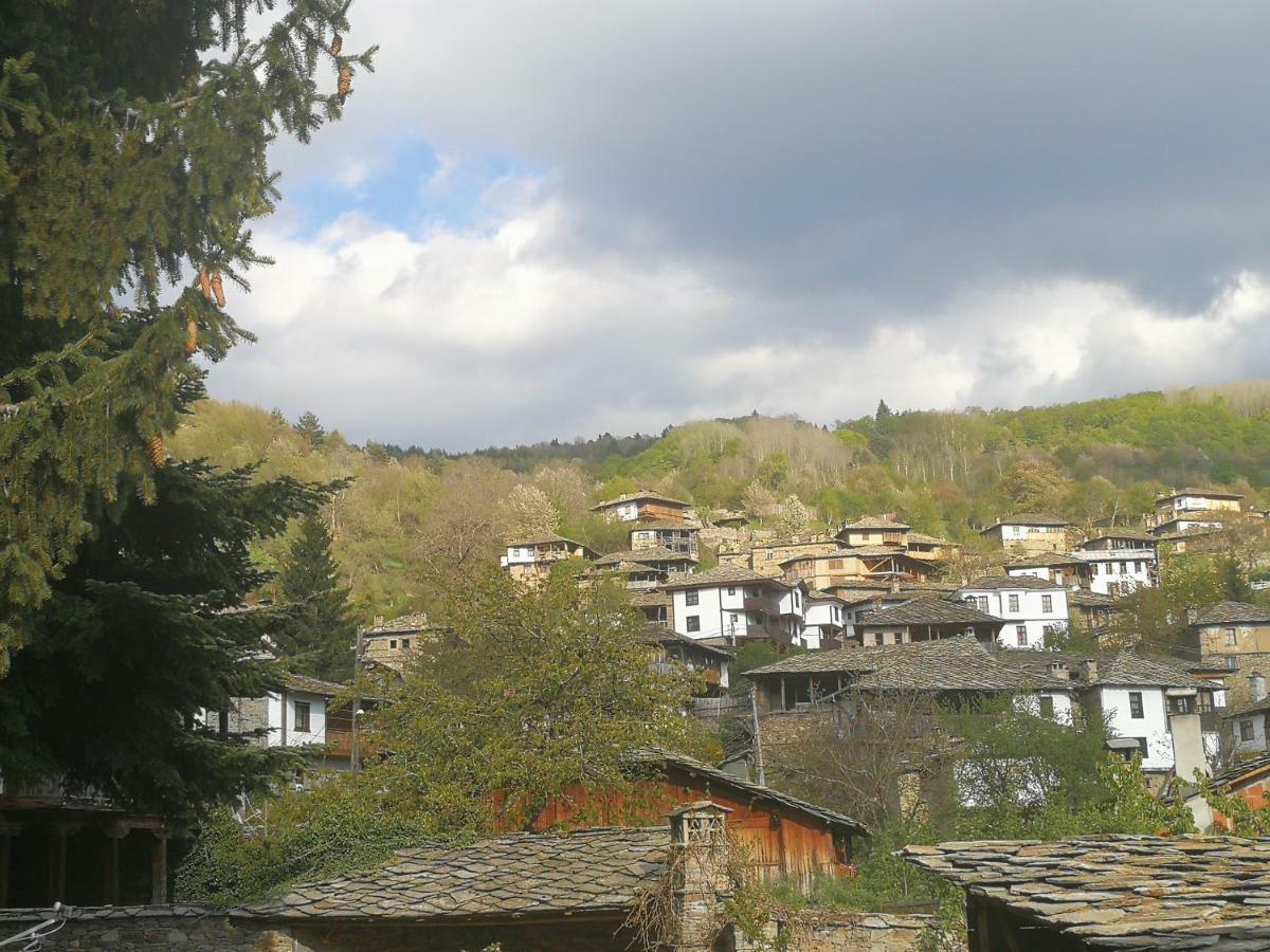 ホテル Слънчевата Къща Kovačevica エクステリア 写真